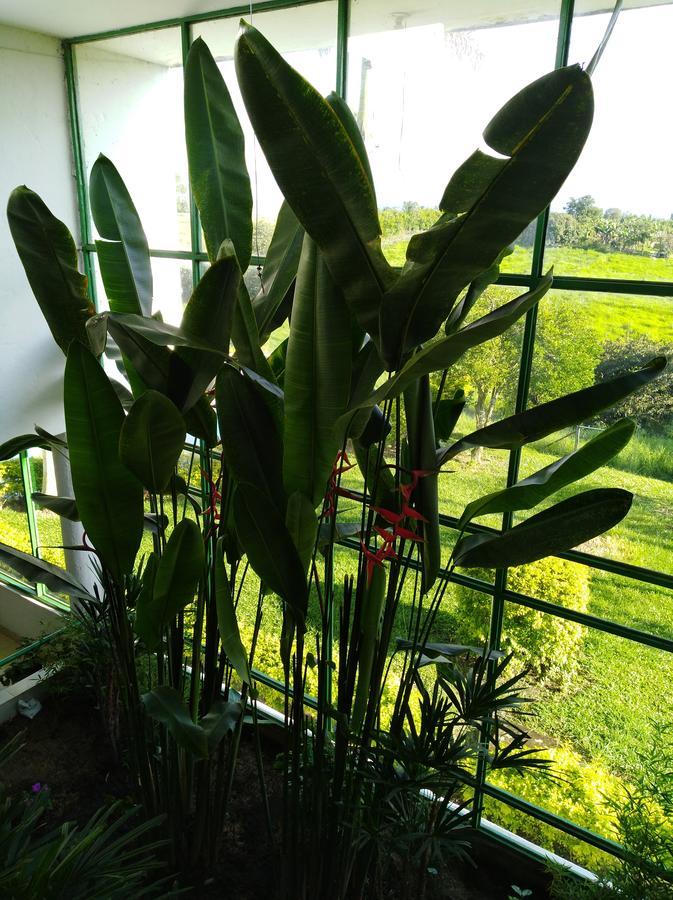 Campestre Quindio Montenegro