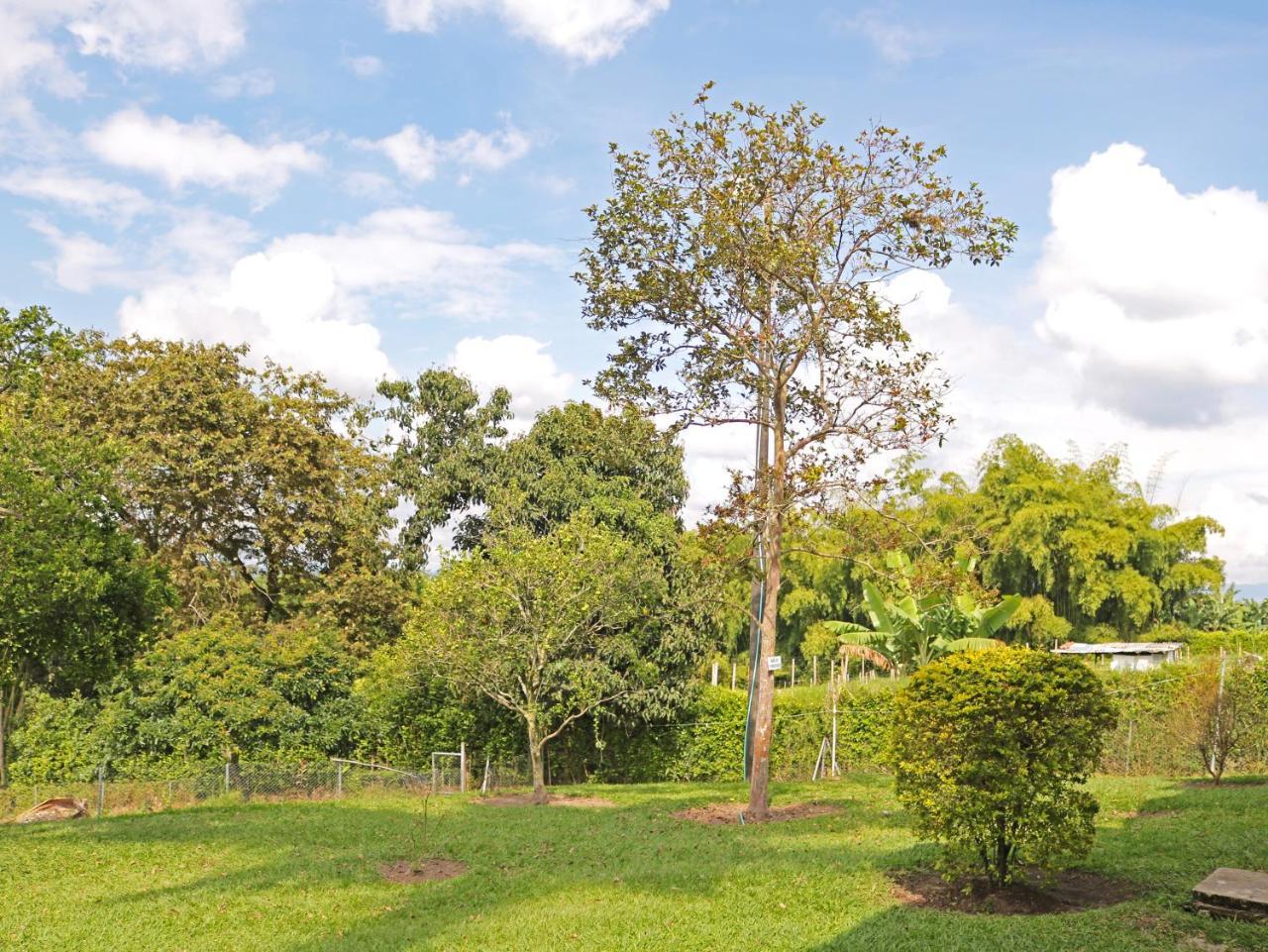 Campestre Quindio Montenegro