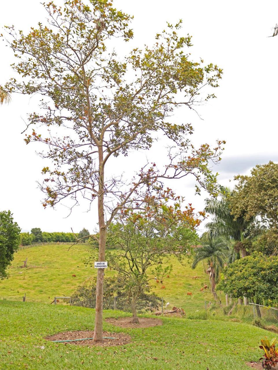 Hotel Campestre Quindio